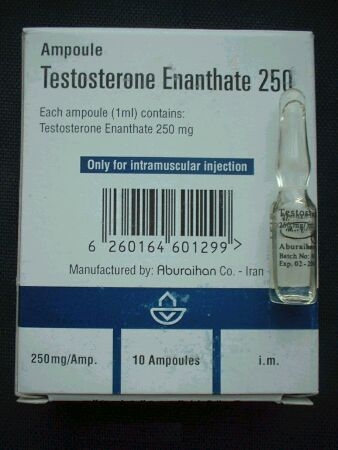 Real pictures and images of Testosterone Enanthate